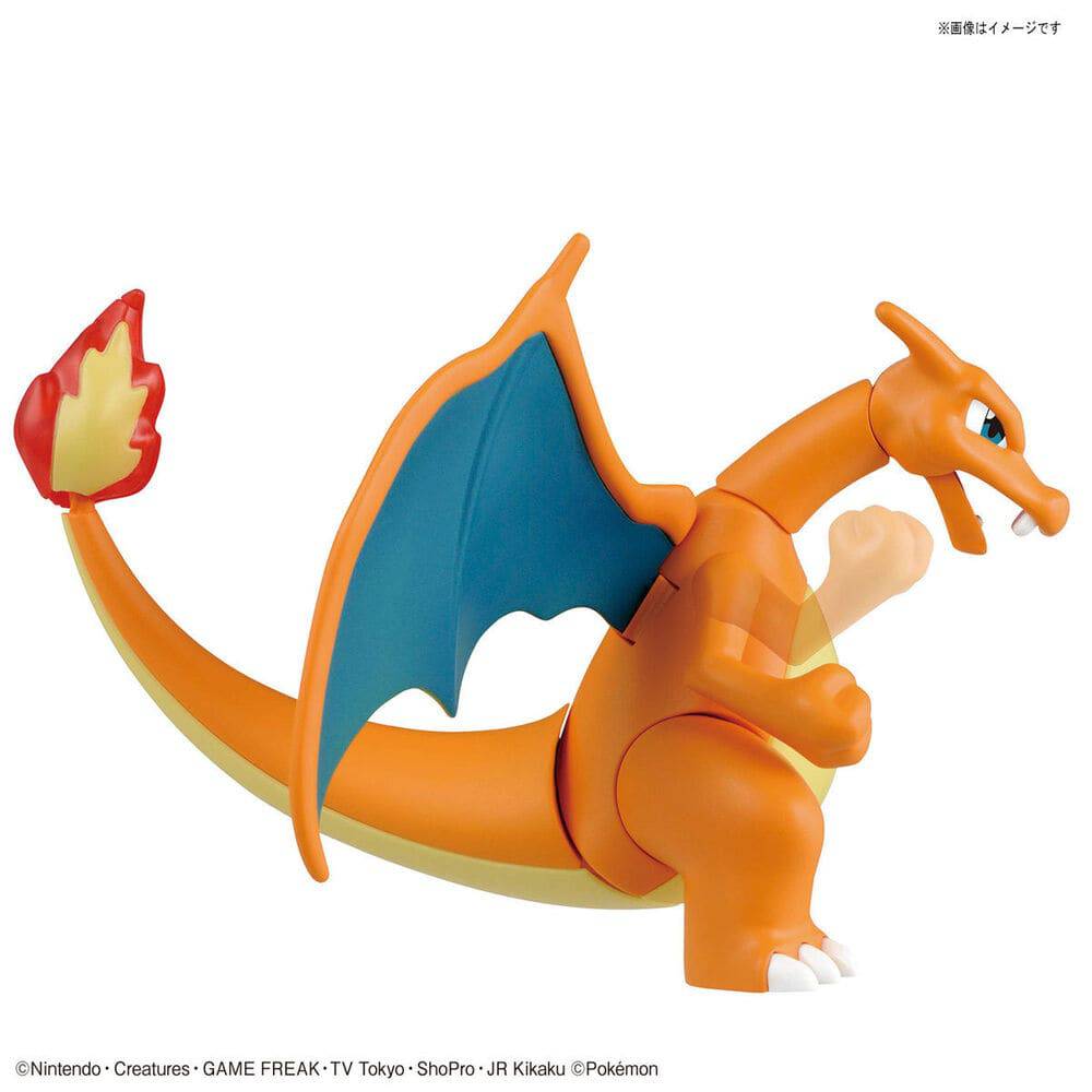 Pokemon - Charizard and Dragonite Model Kit - PKMN Australia